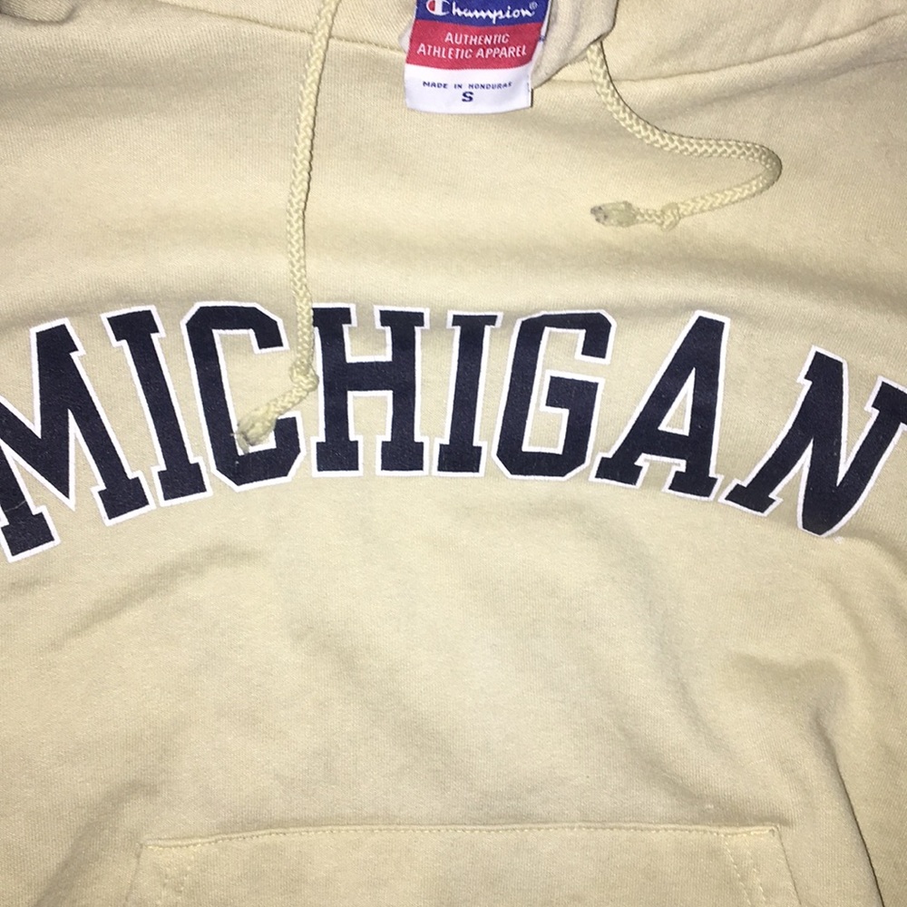 Champion sweater